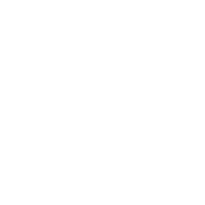 公開運営
